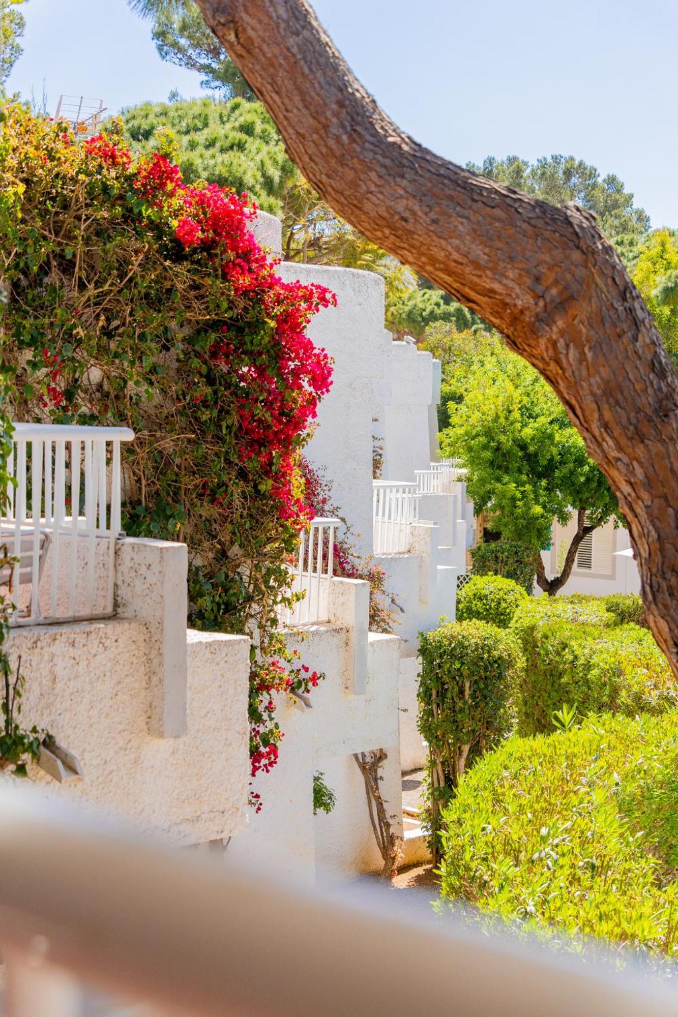 Atlas Apartments Ibiza Santa Eularia des Riu Dış mekan fotoğraf